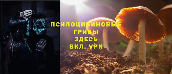 тгк Армянск