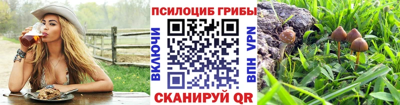 хочу наркоту  Боготол  Галлюциногенные грибы ЛСД 
